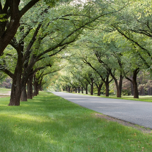 公園の風景